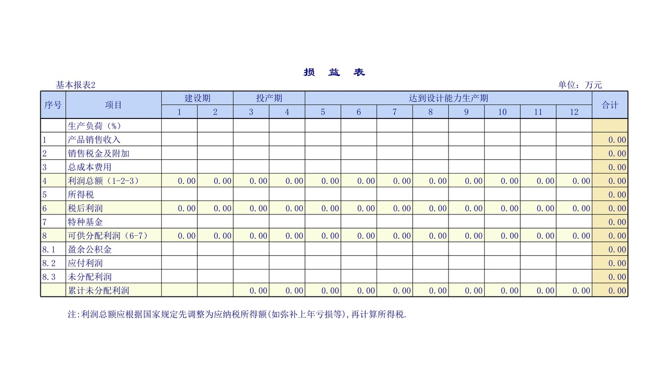 企业建设项目报表