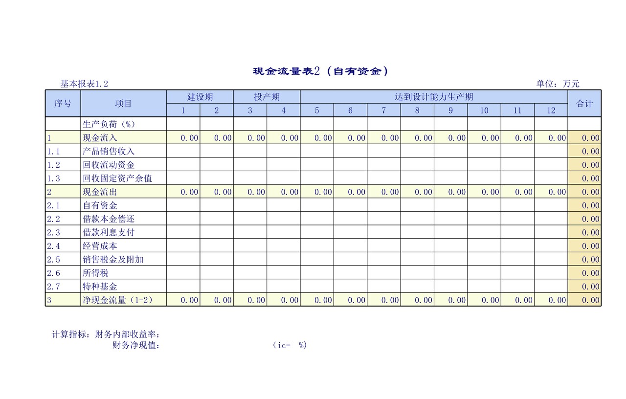 企业建设项目报表