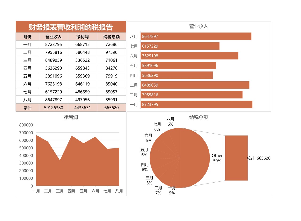 财务报表营收利润纳税报告