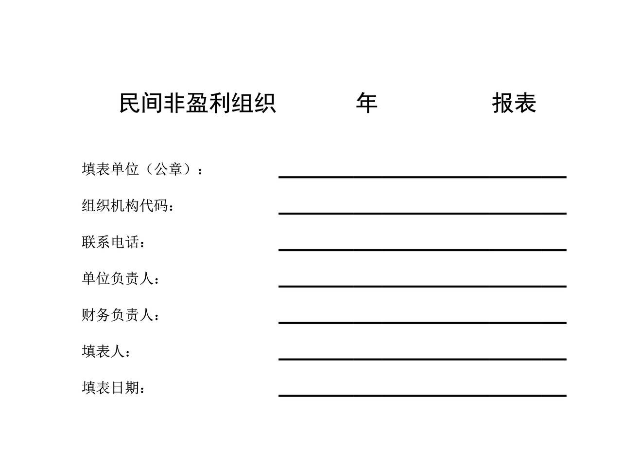 民间非营利组织财务报表模板