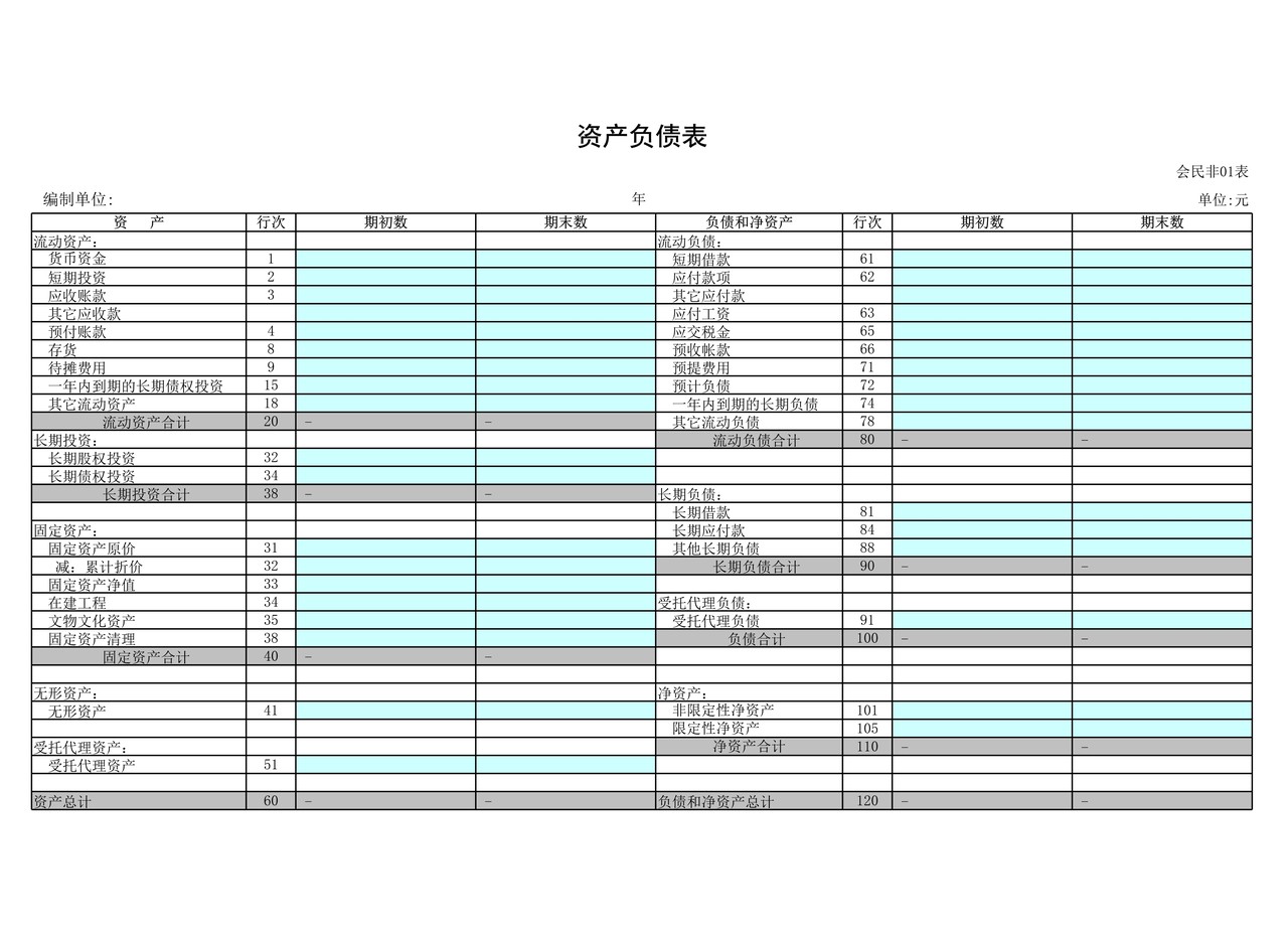 民间非营利组织财务报表模板