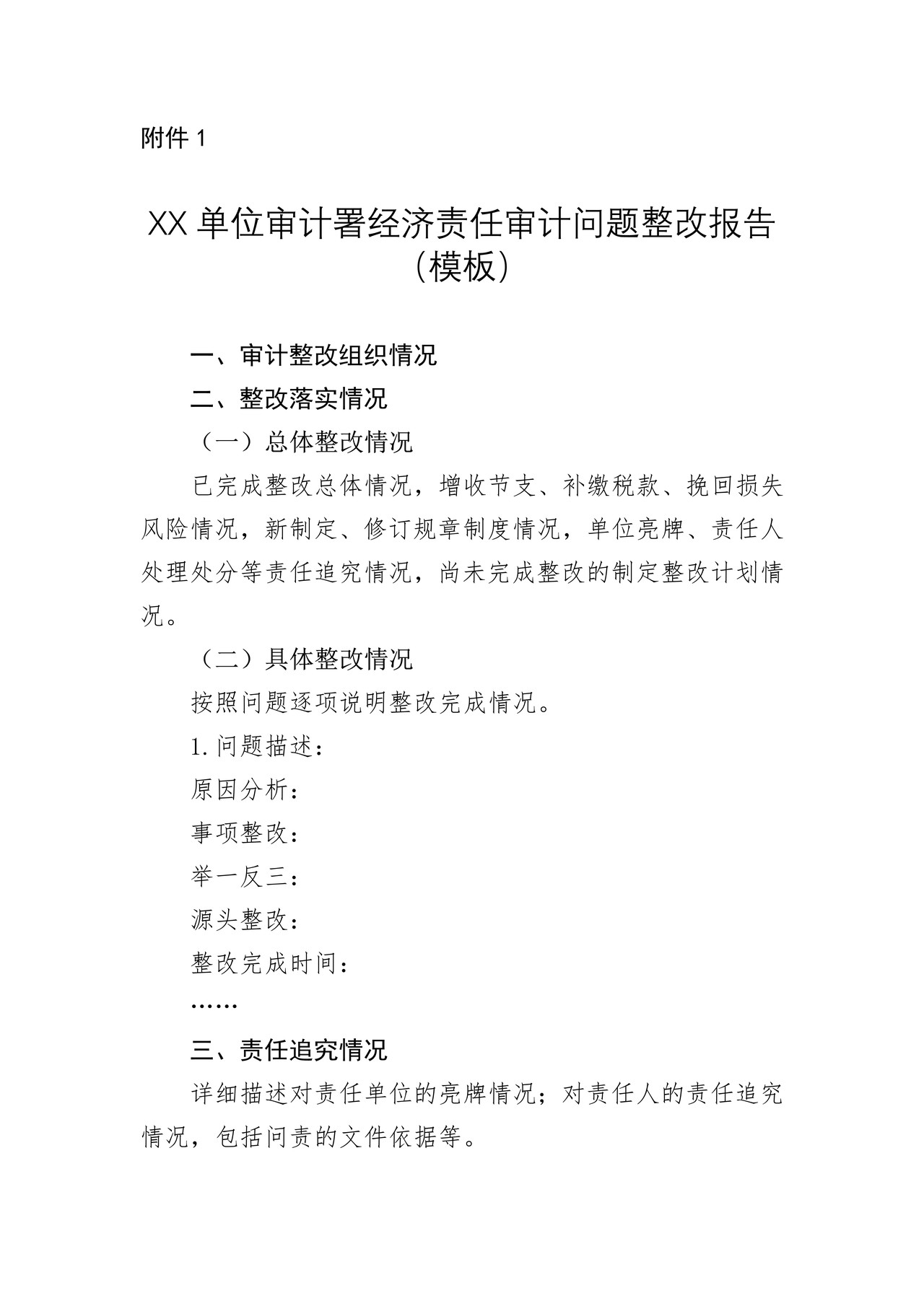 审计署经济责任审计问题整改报告（模板）