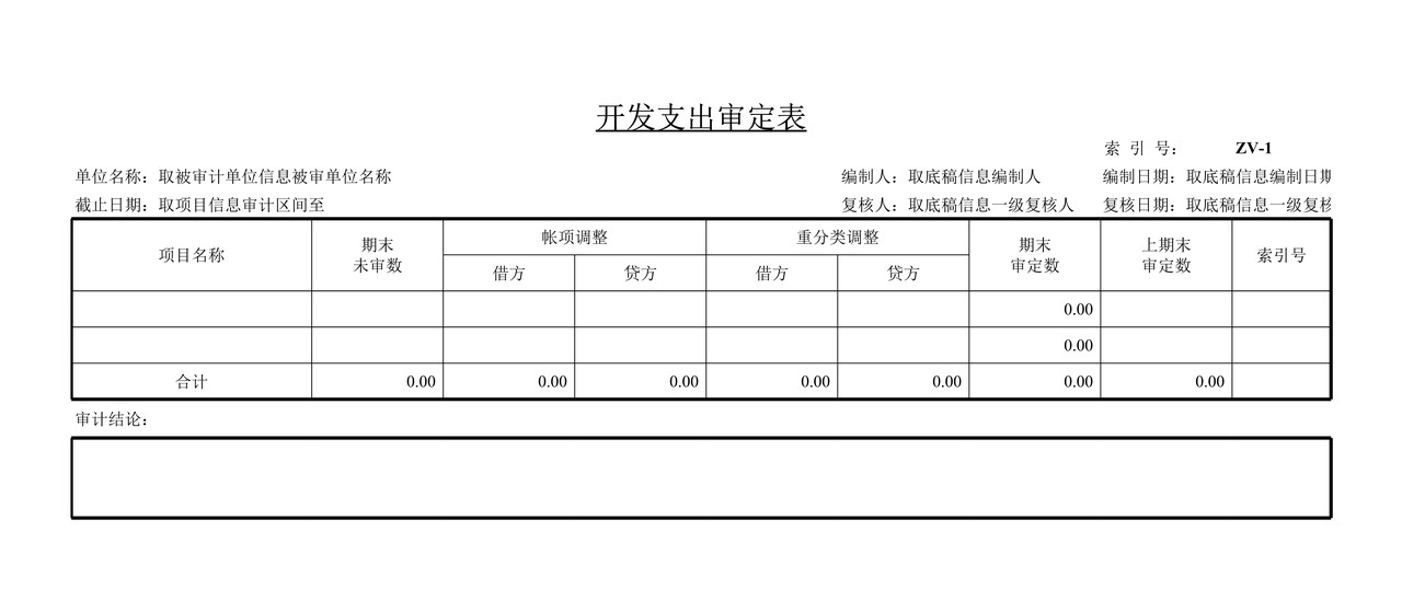 审计工作底稿模板—ZV开发支出