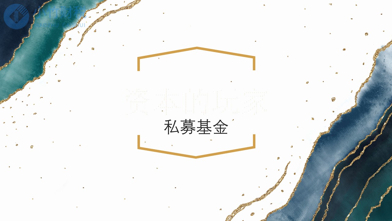 资本的玩家—私募基金