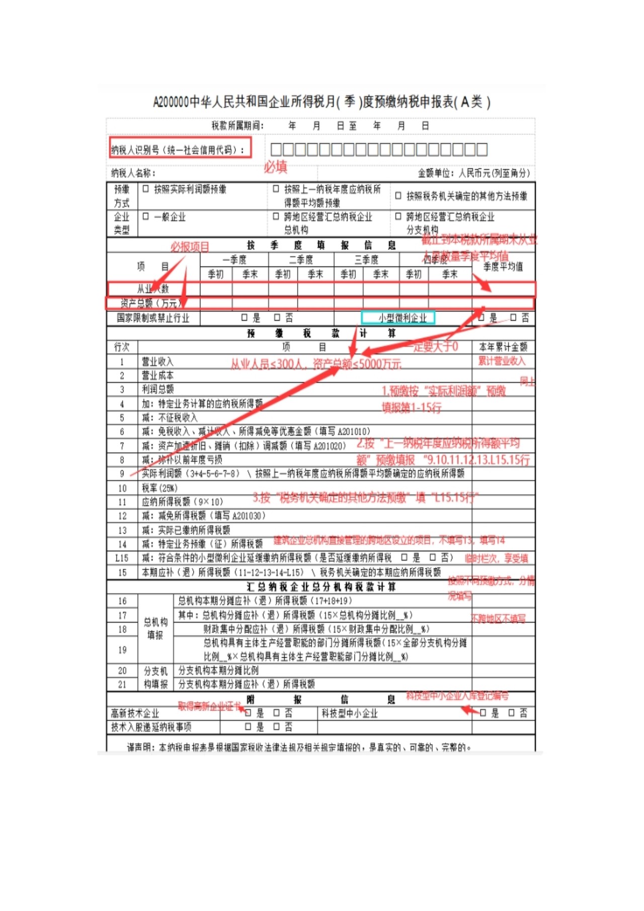 纳税申报表