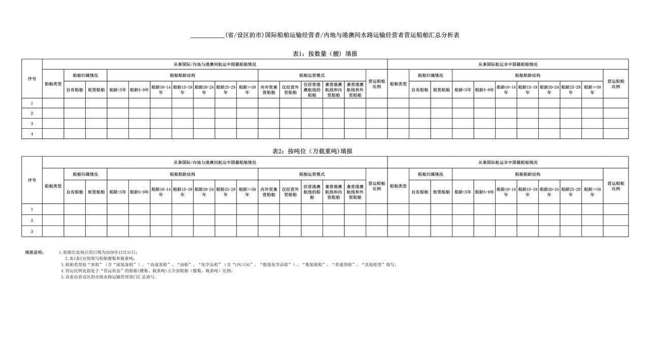 国际船舶运输经营者营运船舶汇总分析表