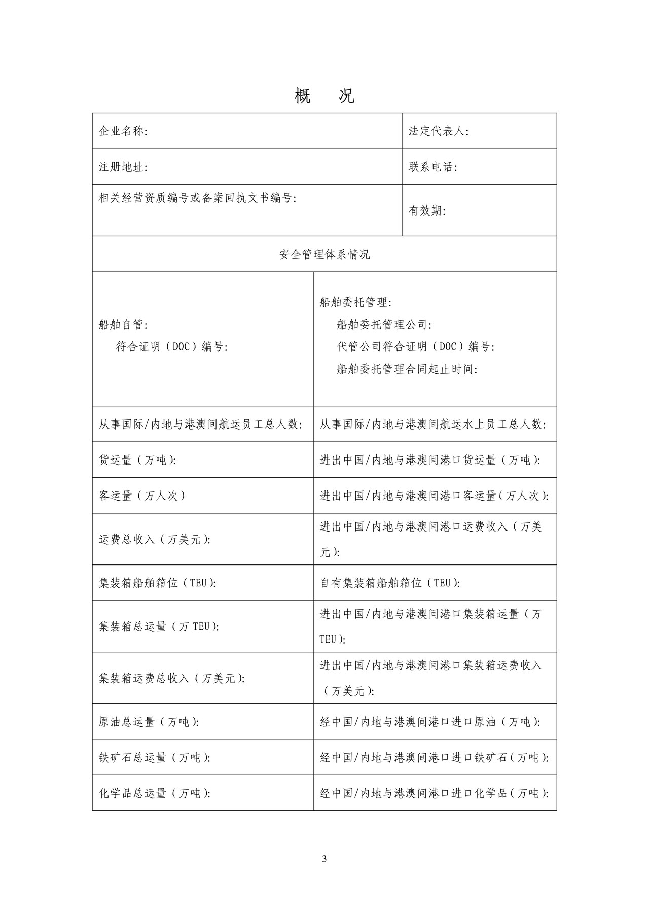 国际船舶运输经营者年度核查报告书