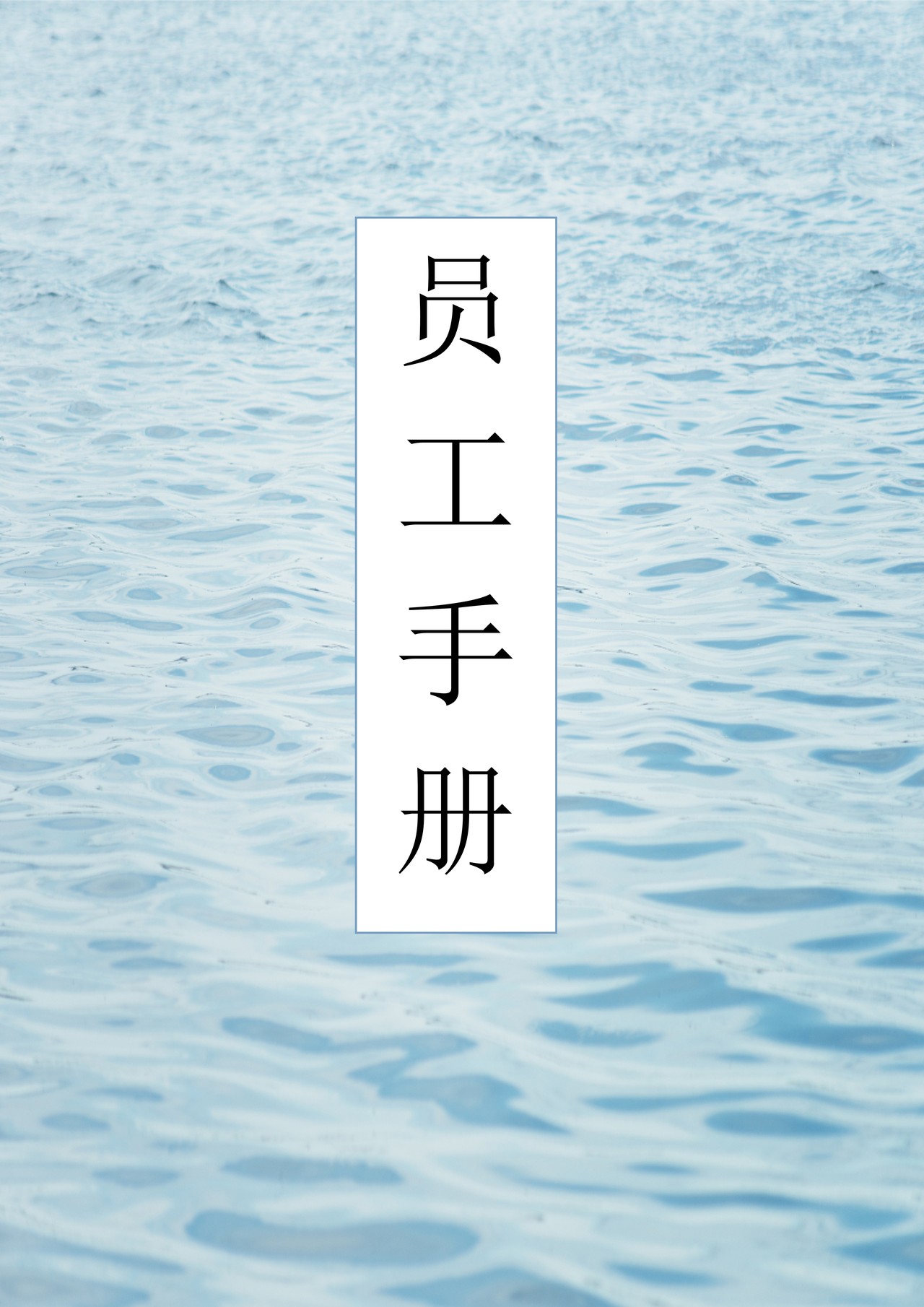 员工手册(网络技术公司)