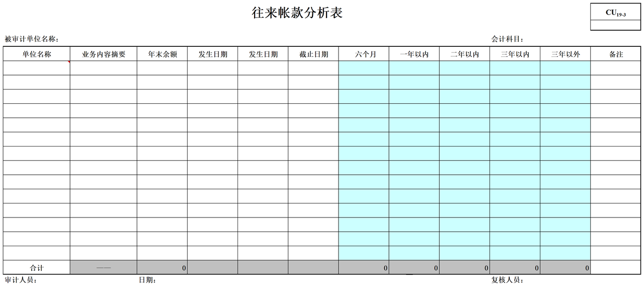审计工具往来分析