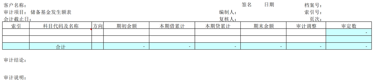 E05储备基金审计表格