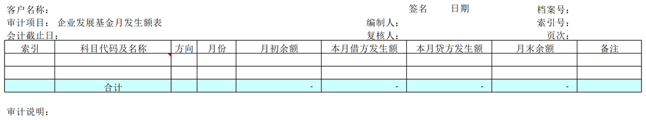 E06企业发展基金审计表格