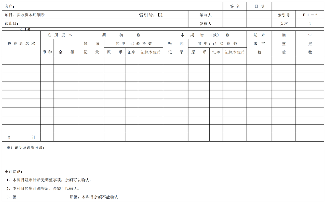 E01实收资本审计表格