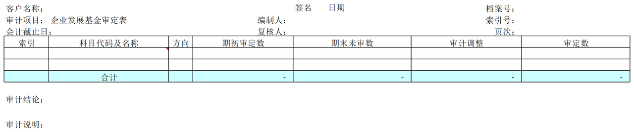 E06企业发展基金审计表格