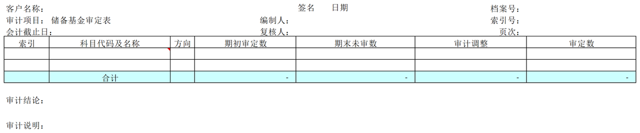 E05储备基金审计表格