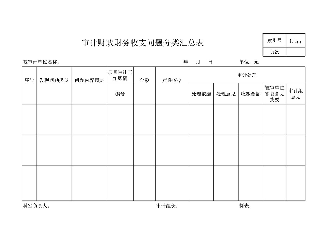 行政事业单位审计准备分析表格