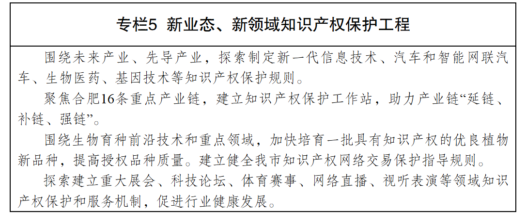 合肥市人民政府关于印发推进知识产权强市建设行动方案的通知-6