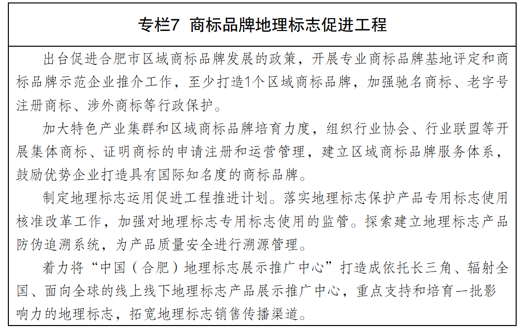合肥市人民政府关于印发推进知识产权强市建设行动方案的通知-8