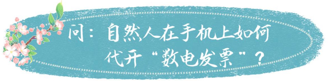 国家税务总局湖南省税务局——春风加油站 | 自然人如何在线代开数电发票？-9