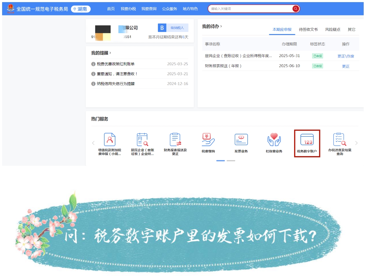 国家税务总局湖南省税务局——春风加油站 | 电子发票服务平台税务数字账户知多少-3