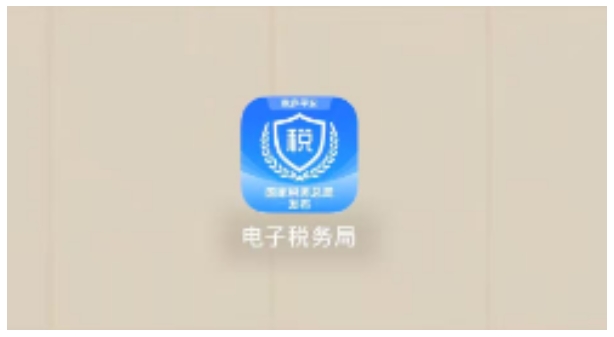 国家税务总局湖南省税务局——春风加油站 | 自然人如何在线代开数电发票？-10