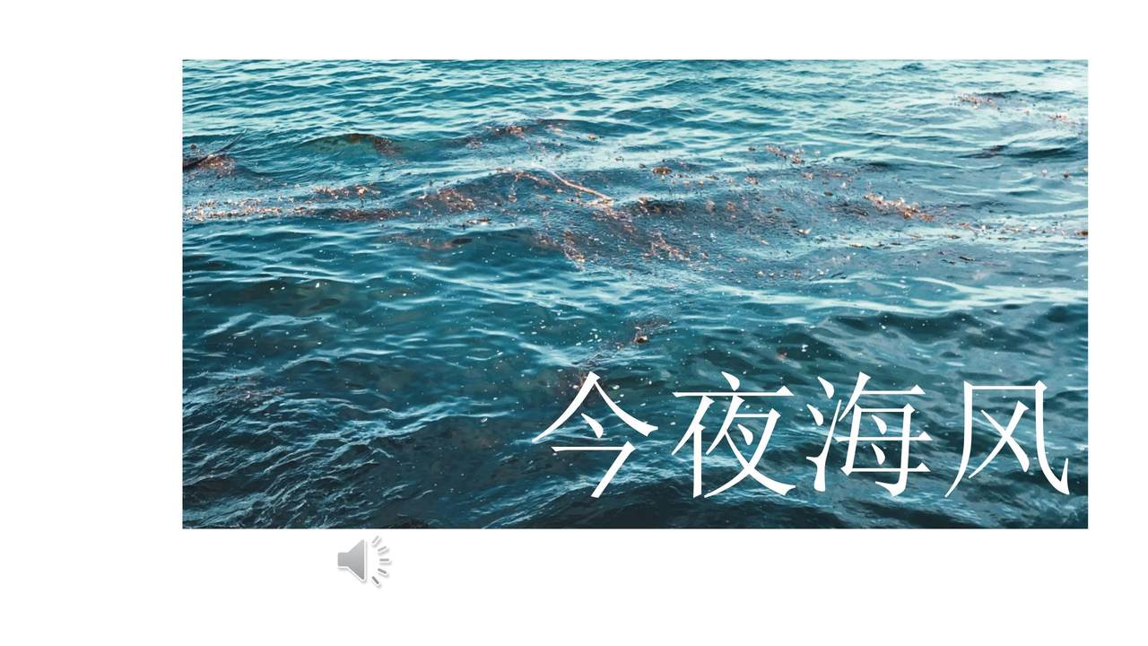 今夜海风模板
