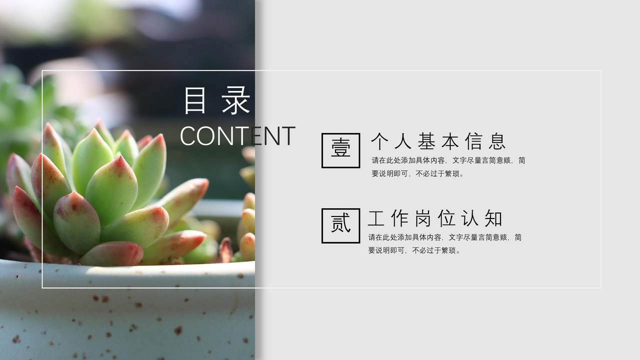 清新多肉PPT模板
