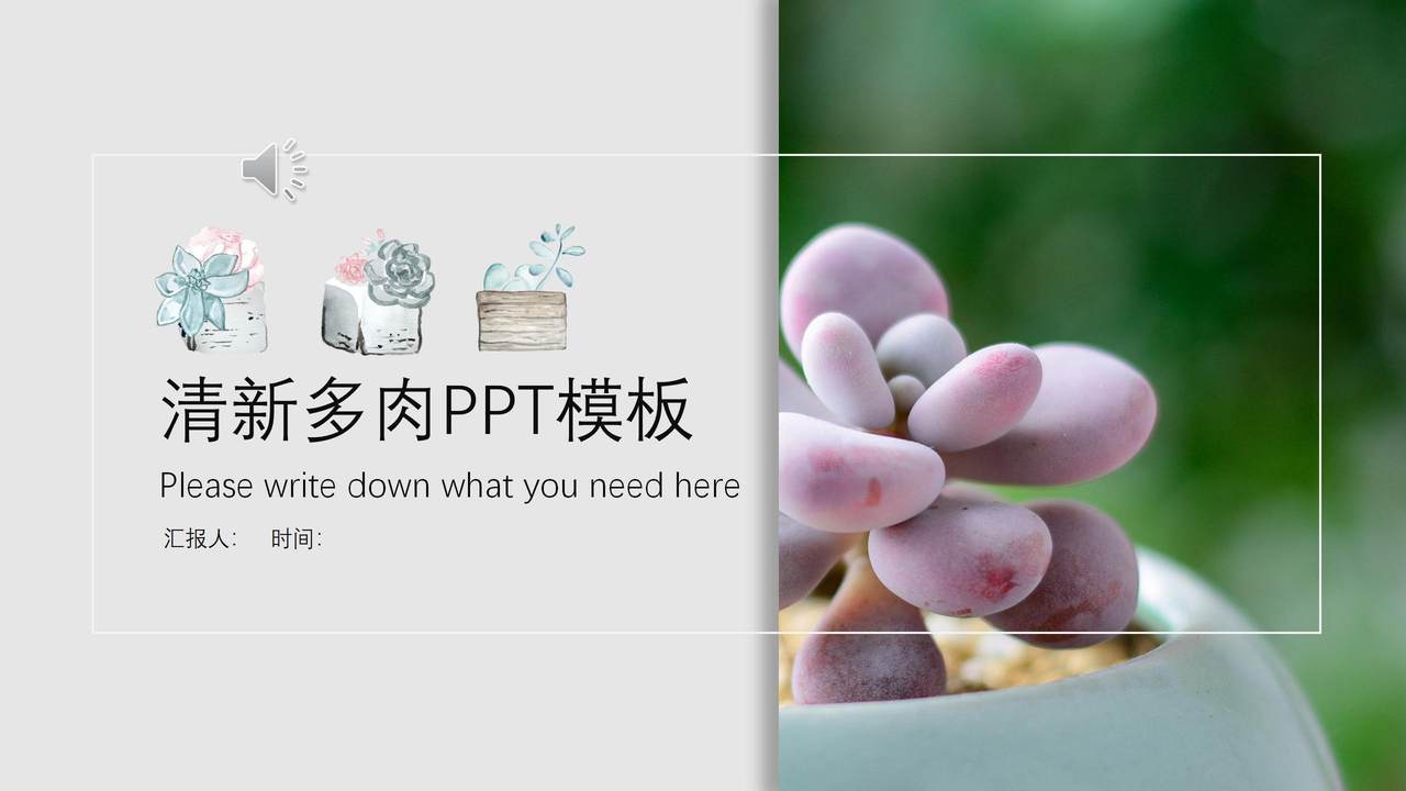 清新多肉PPT模板