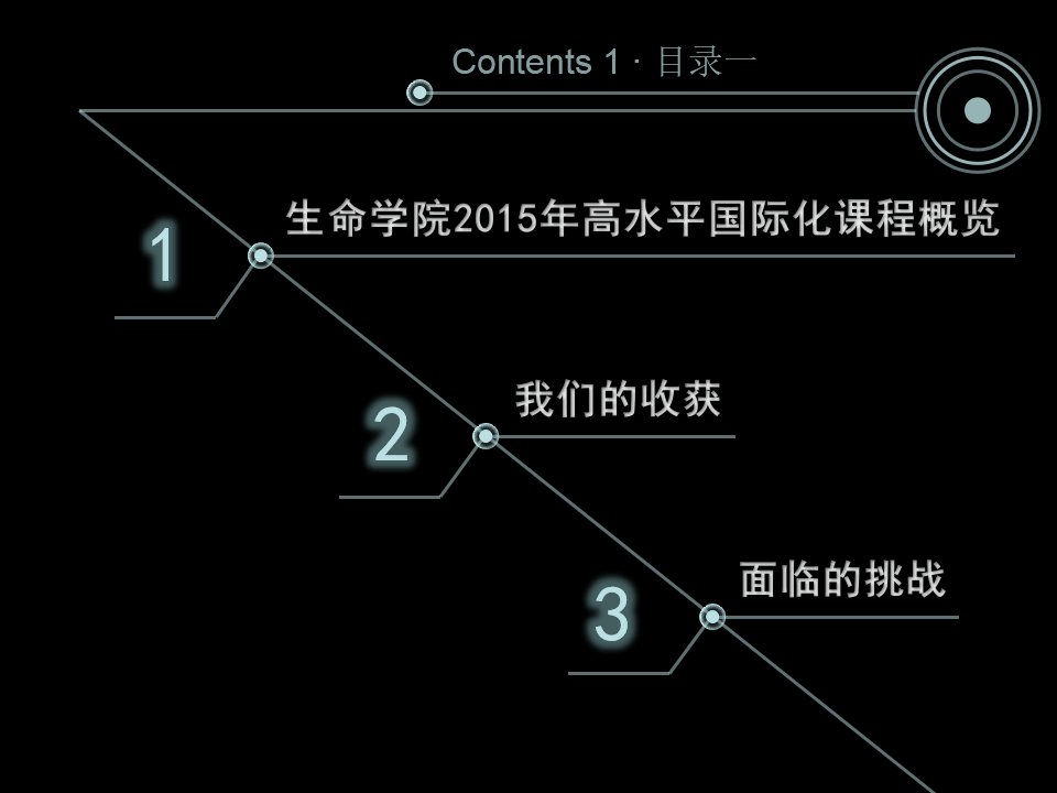 黑色风高水平国际化课程建设PPT模版.pptx