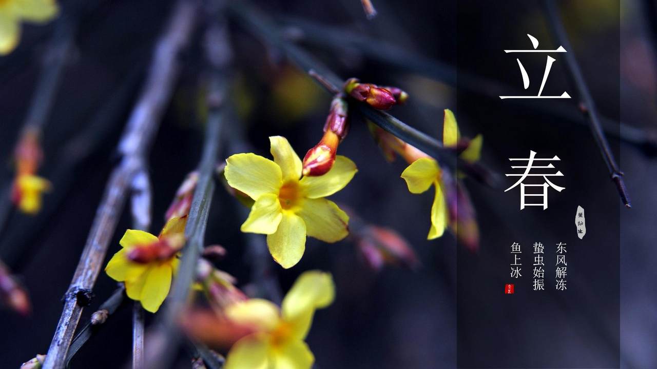 中国传统二十四节气之立春模板.pptx